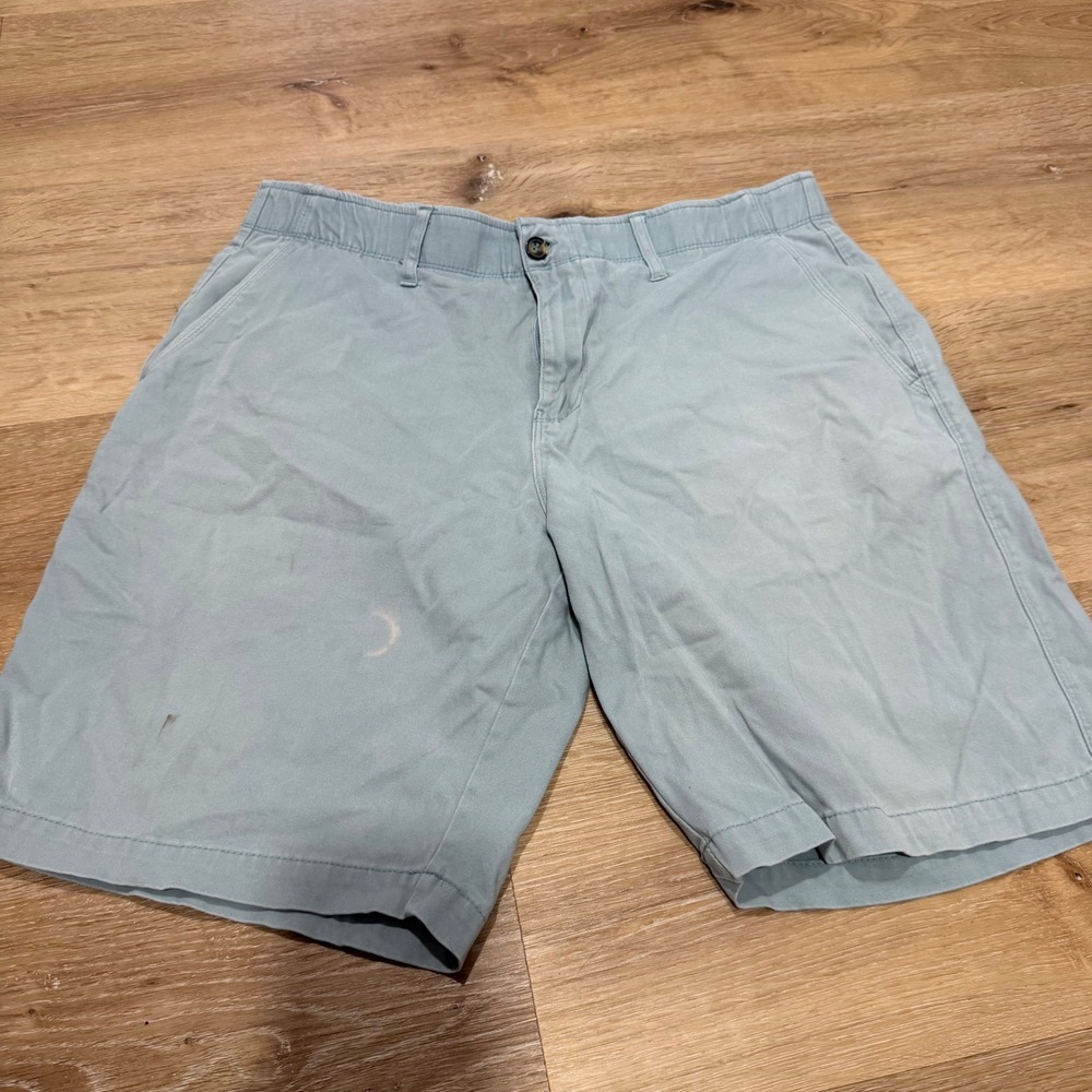 Nat Nast Mens Light Blue Luxury Casual Flat Front Chino Shorts Size 34